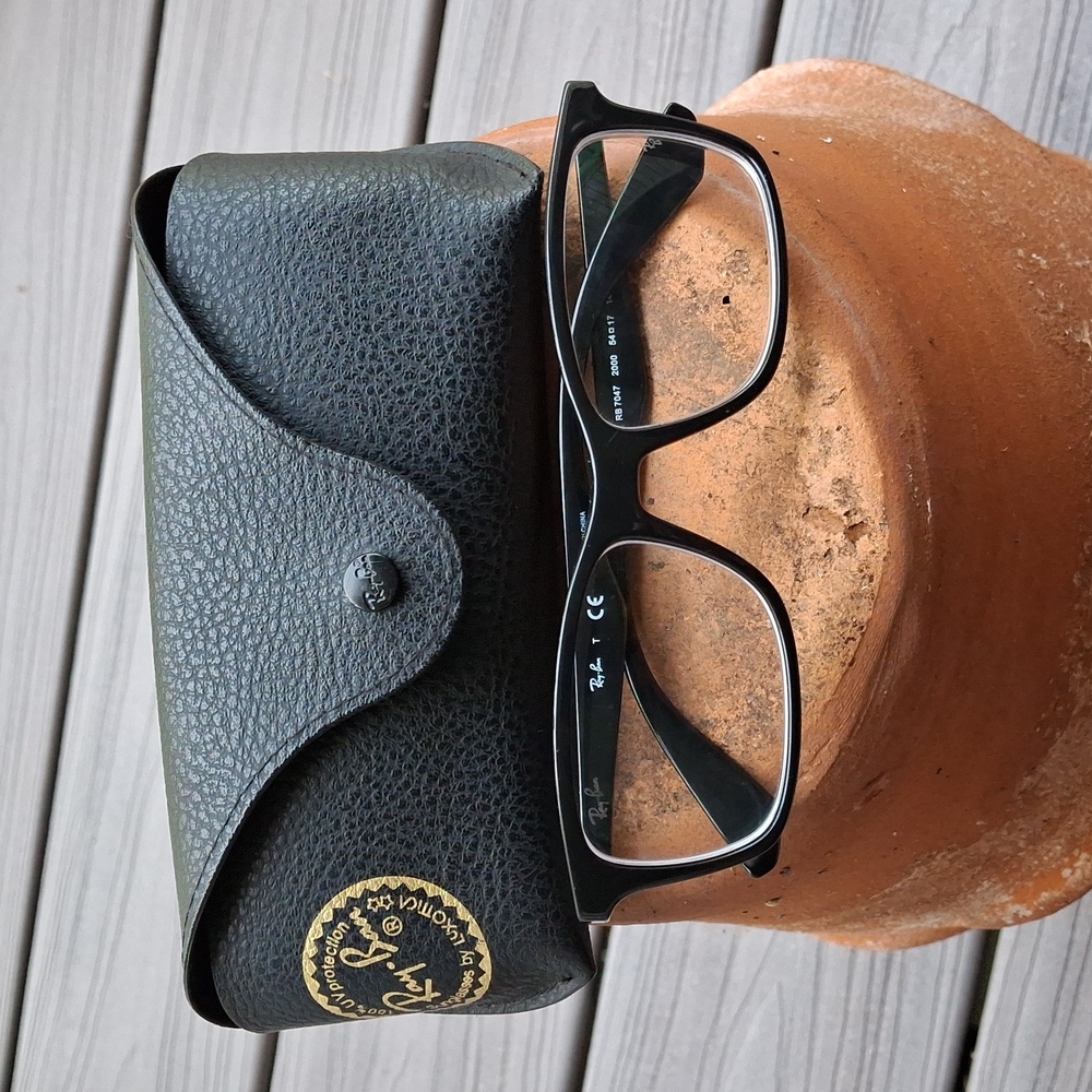 Ray-Ban Frames - image 1